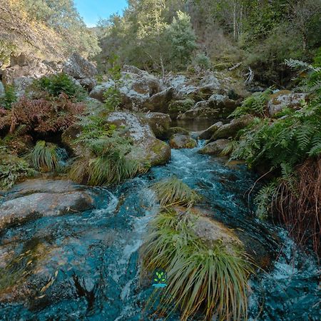 منزل الضيف سيا  في Casa Da Ribeira Do Cirio المظهر الخارجي الصورة