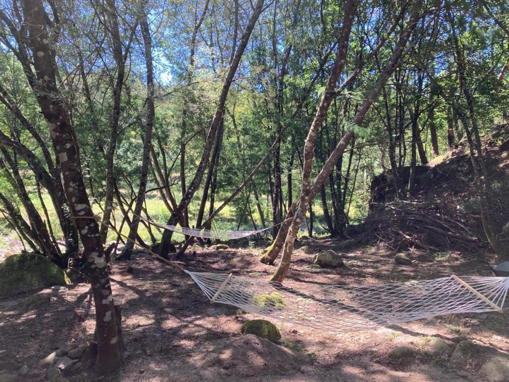 منزل الضيف سيا  في Casa Da Ribeira Do Cirio المظهر الخارجي الصورة