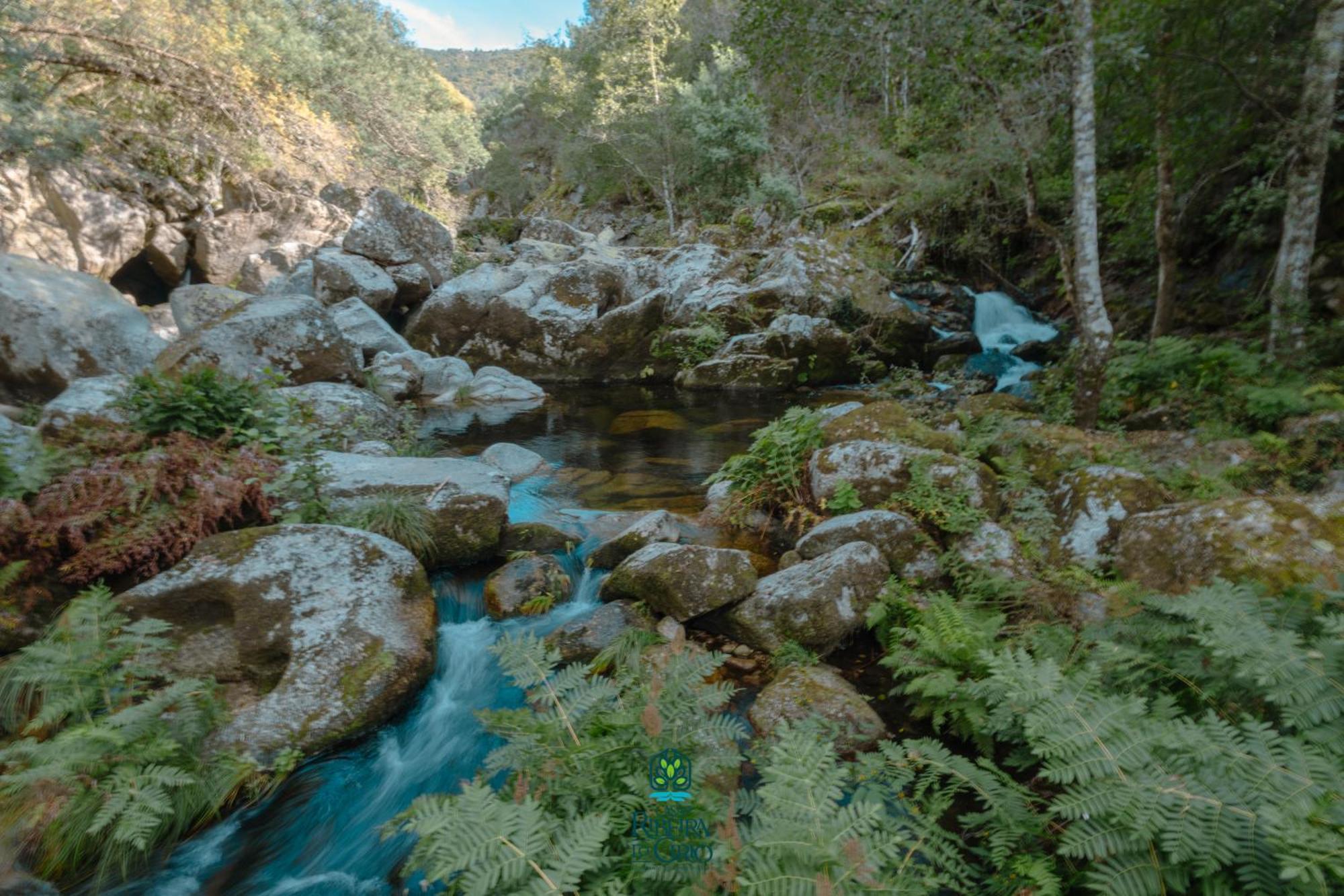 منزل الضيف سيا  في Casa Da Ribeira Do Cirio المظهر الخارجي الصورة