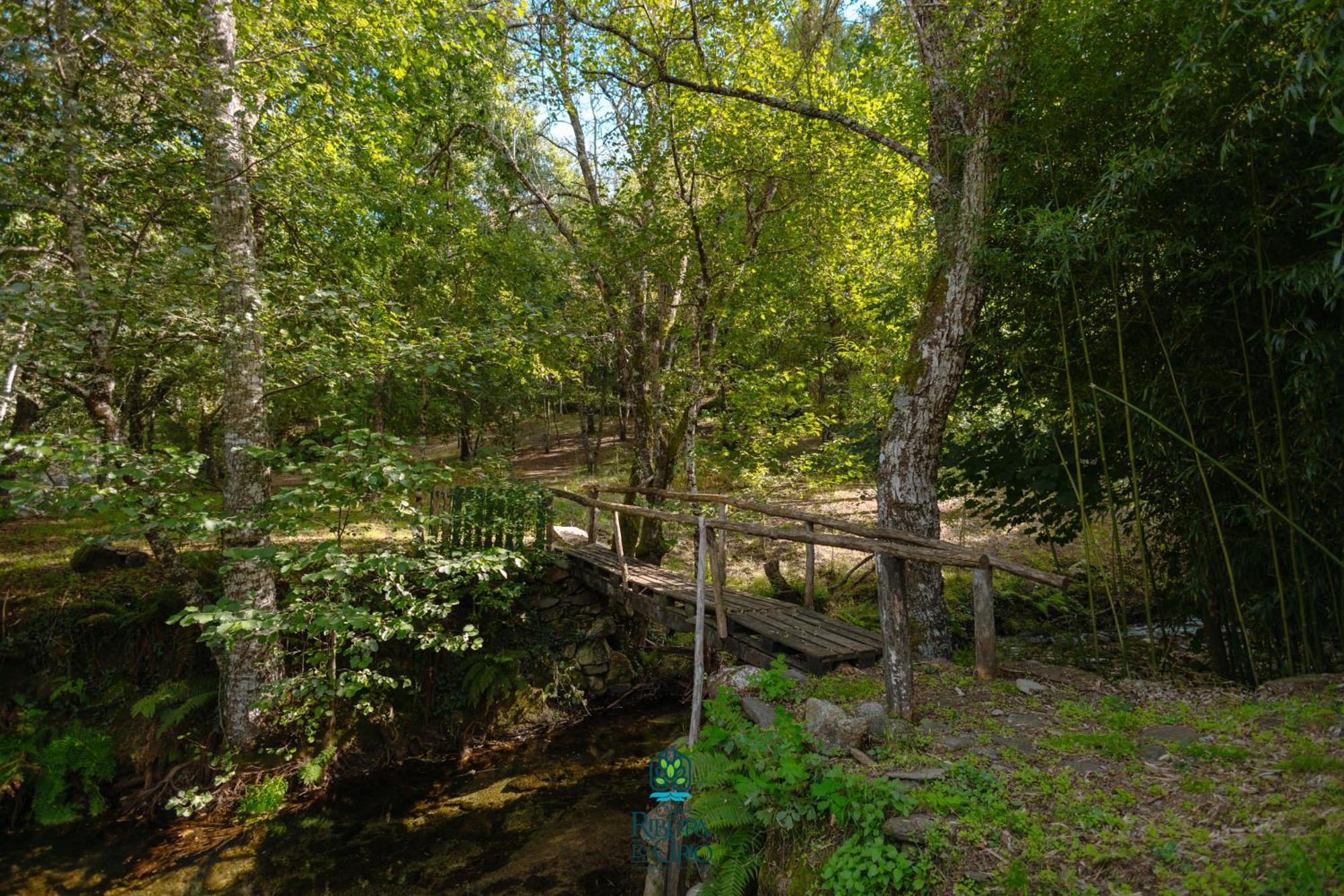منزل الضيف سيا  في Casa Da Ribeira Do Cirio المظهر الخارجي الصورة