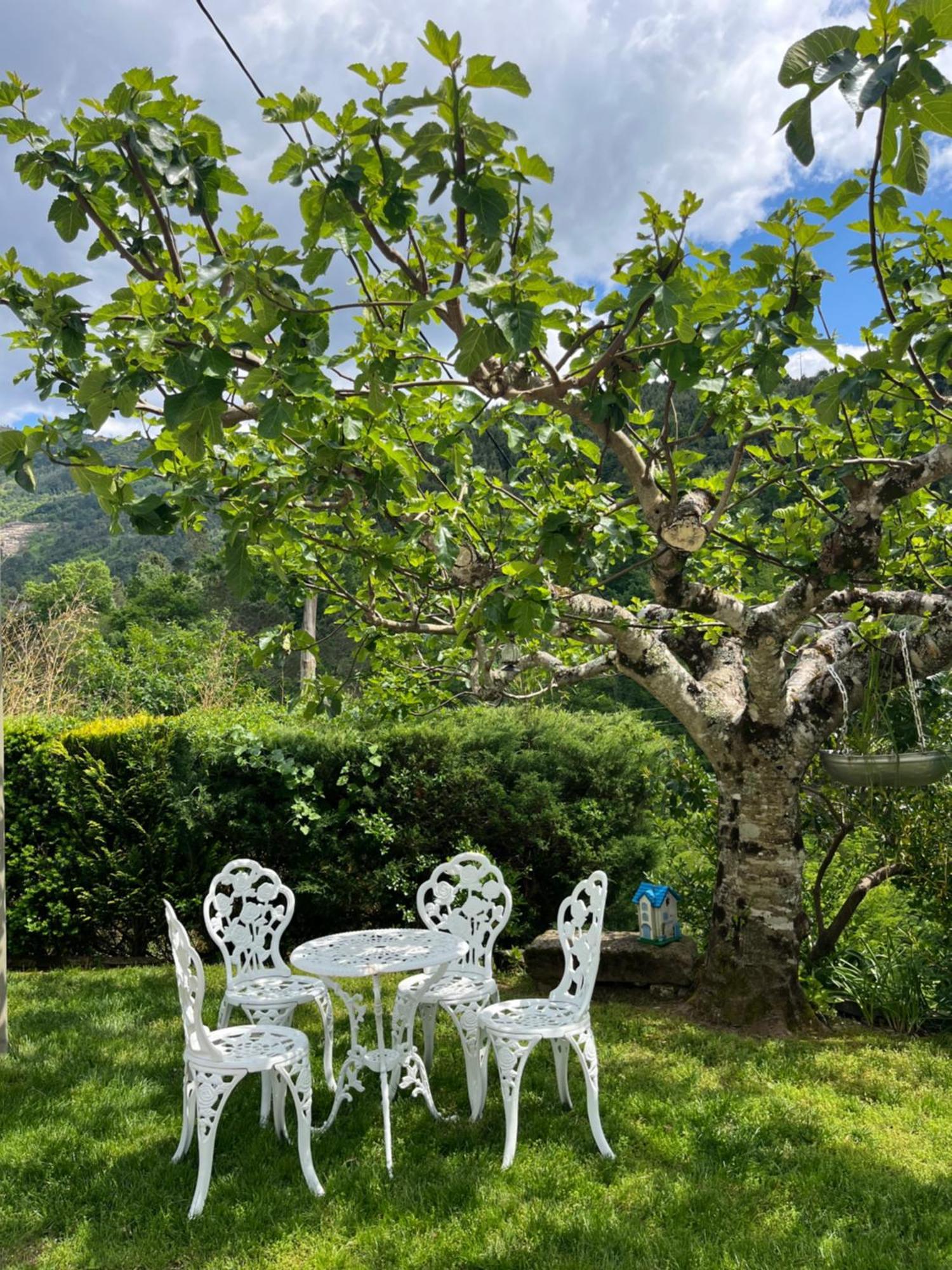 منزل الضيف سيا  في Casa Da Ribeira Do Cirio المظهر الخارجي الصورة
