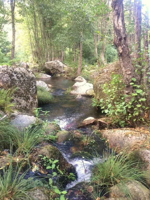 منزل الضيف سيا  في Casa Da Ribeira Do Cirio المظهر الخارجي الصورة